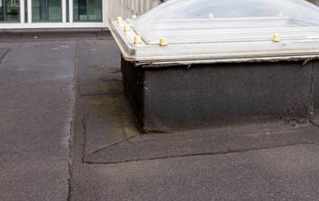 disadvantages of South Flobbets flat roofs